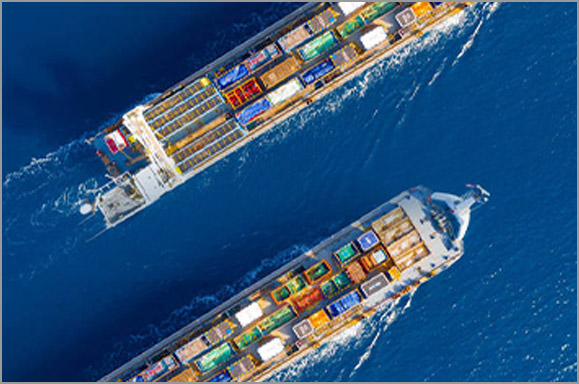 Special container/open top container sea/sea bulk cargo LCL